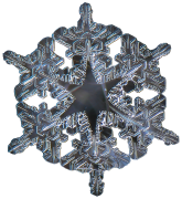 snowflake 40 listahan